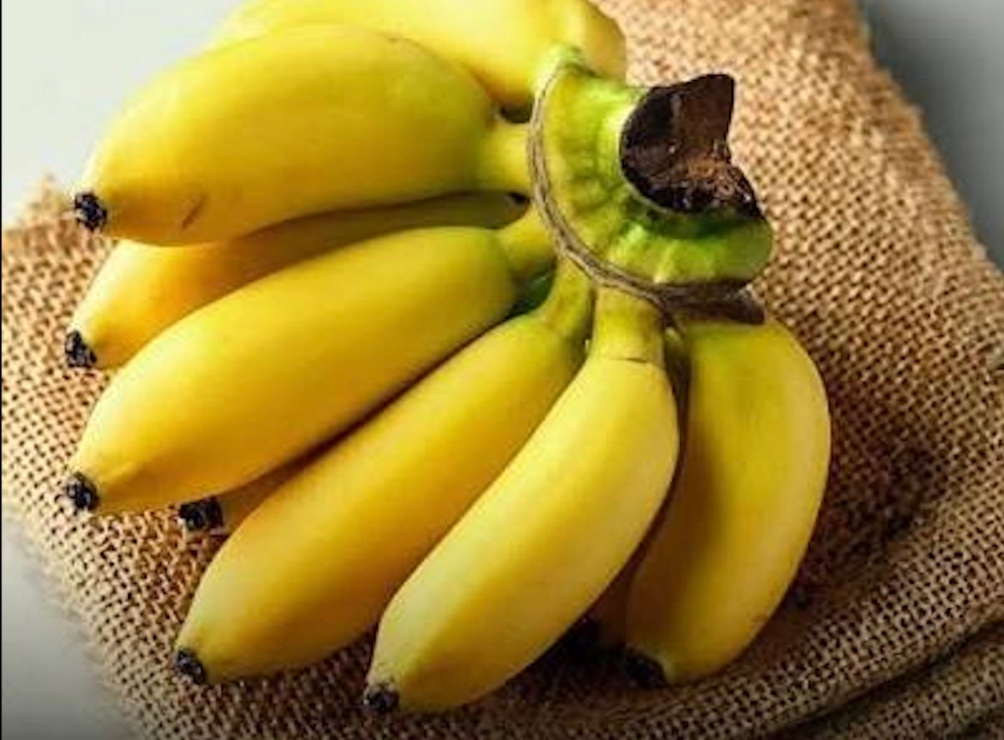 Organic Elakki Banana