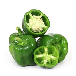 Capsicum