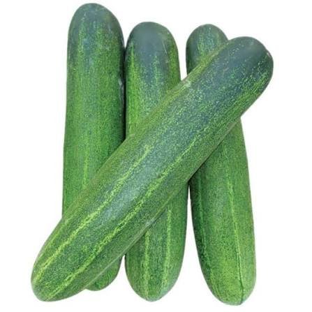 Cucucmber