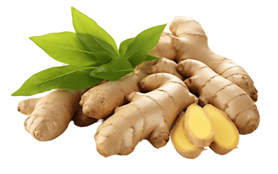 Ginger