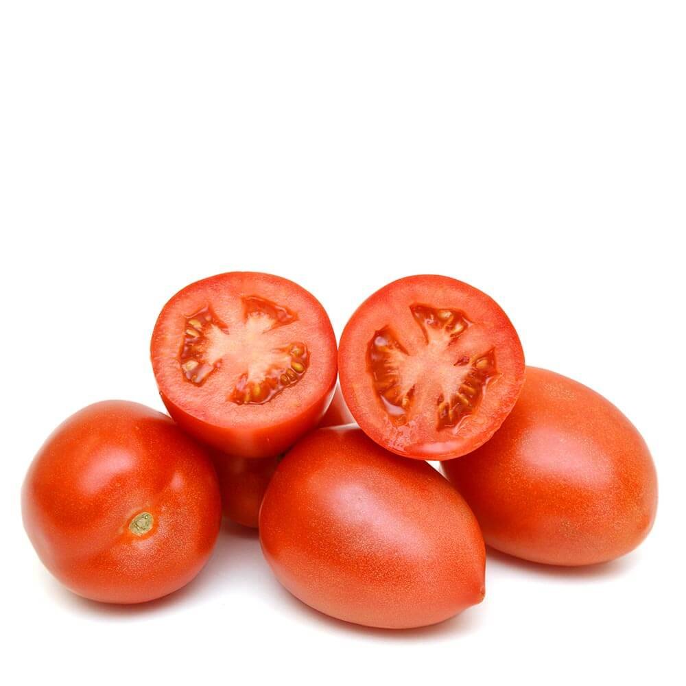Tomato hybrid