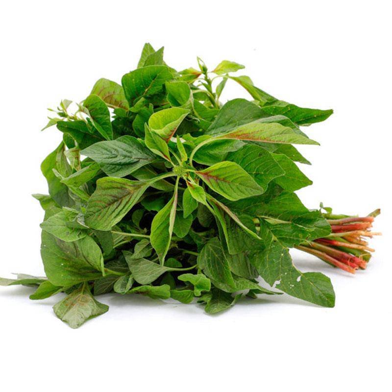 Green amaranthus