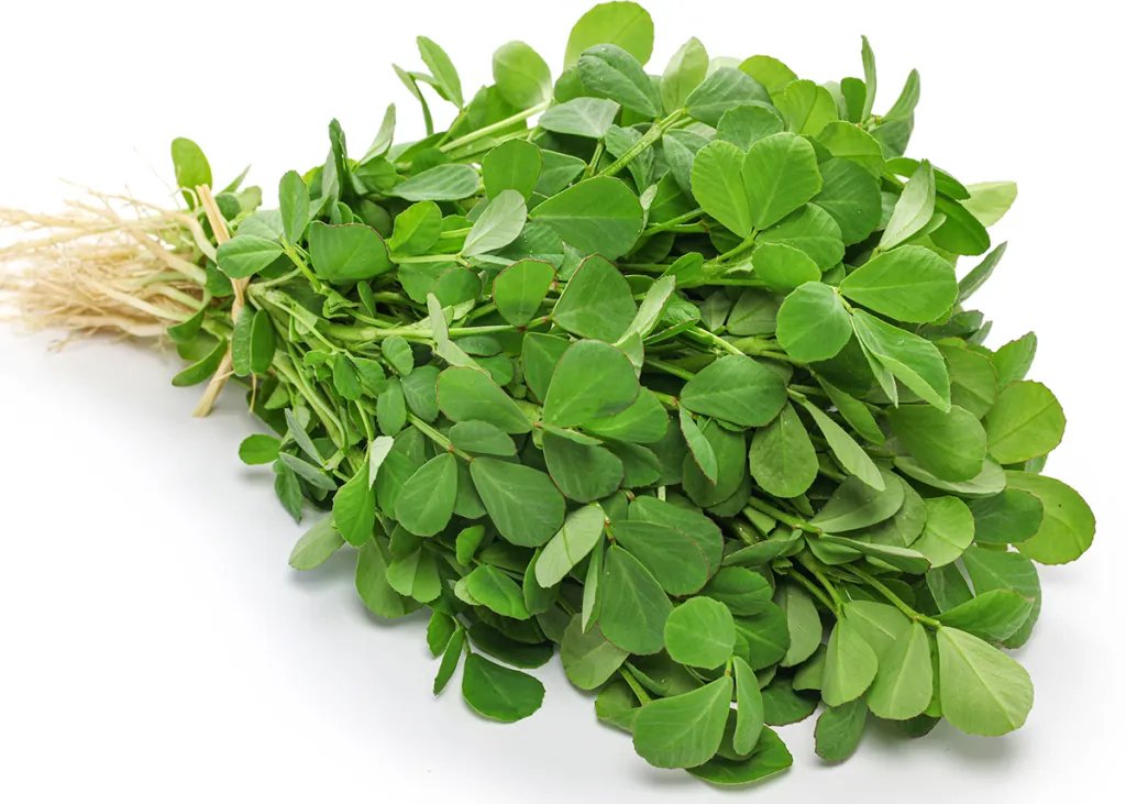 Fenugreek leaves
